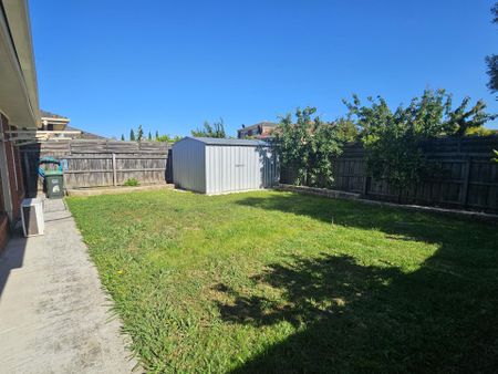 Perfect Starter - Photo 5