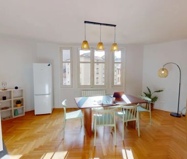 33 Rue Salomon Reinach 33, Lyon - Photo 4