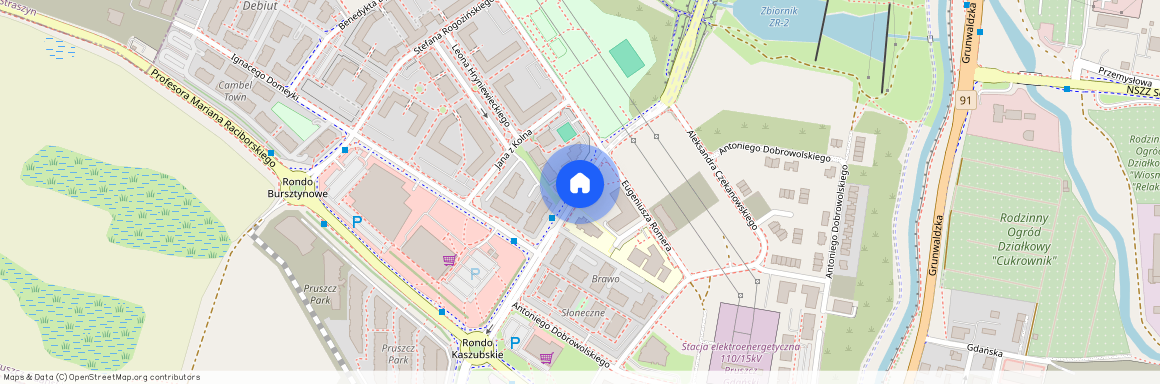 ul. Pawła Edmunda Strzeleckiego, Pruszcz Gdański, gdański, pomorskie