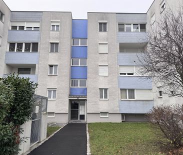 Gemütliche 2-Zimmer-Wohnung mit Loggia in Wiener Neudorf - Photo 2