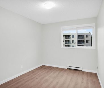 1 Bedroom - Photo 1