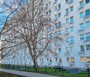 Ideale Student:innen Wohnung inklusive Einbauküche - Photo 4