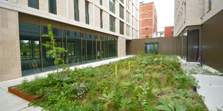 Woning te huur in Gent voor € 1.650 met 2 slaapkamers - Photo 3