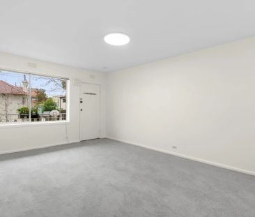 Refreshed Tidy studio in the heart of Elwood - Photo 5