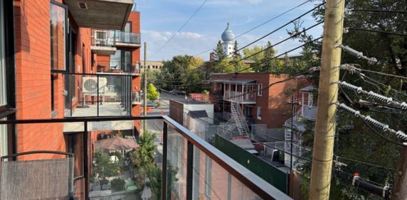 Bail à céder – 4 ½ moderne avec 2 chambres et 2 salles de bain – près du Parc Jarry - Photo 2