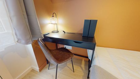 SISLEY Colocation 4 chambres à Lyon 3e - Photo 5