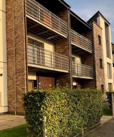 93 Badgers Lane, Lisburn, BT28 2ZH - Photo 5