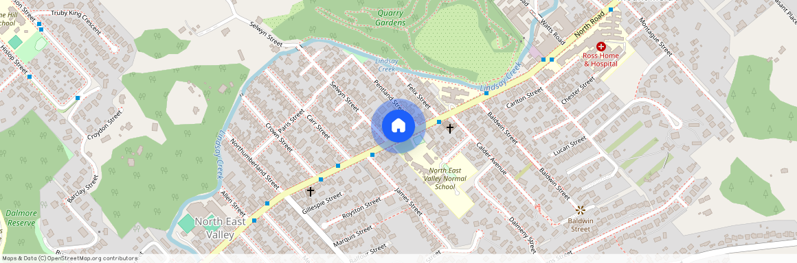 249 North Road, North East Valley, Dunedin City