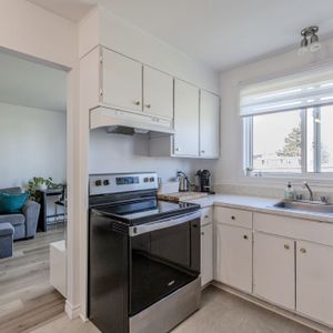 Le M Appartements Appartement 3 ½ à Louer Lévis Juillet 2025 - Photo 2