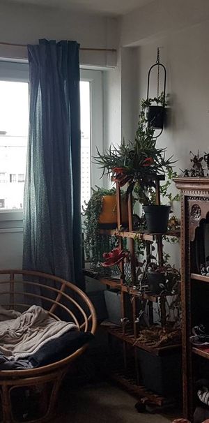 Loue appartement F2 au HAVRE 76 - Photo 2