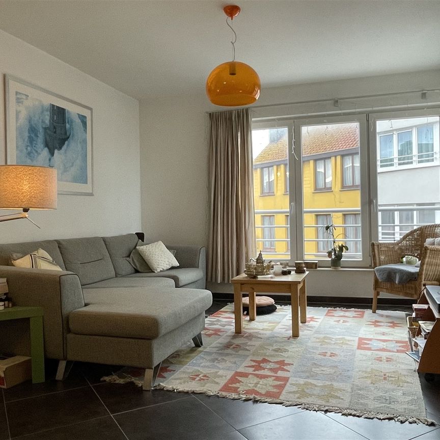 Gemeubeld appartement met 1 slaapkamer - Foto 1