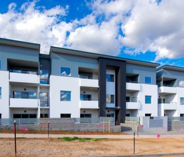 Situated in the Molongolo Valley! - Photo 6