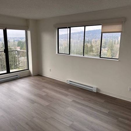 2-Bedroom Fully Renovated close to SkyTrain (Lougheed) - Photo 4