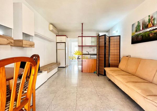 1 BEDROOM AND 1 BATHROOM APARTMENT - LO PAGÁN