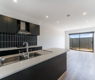 46 Kingia Street, Cobblebank, Vic 3338 - Photo 5