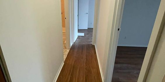 4 Et Demi Spacieux Disponible - Photo 3