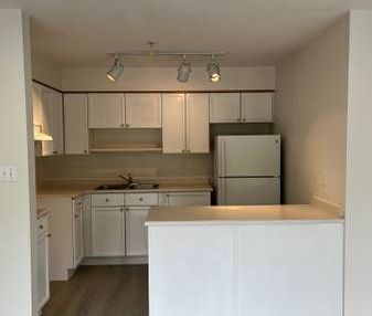 Newly renovated one bedroom in West Kerrisdale - Photo 2