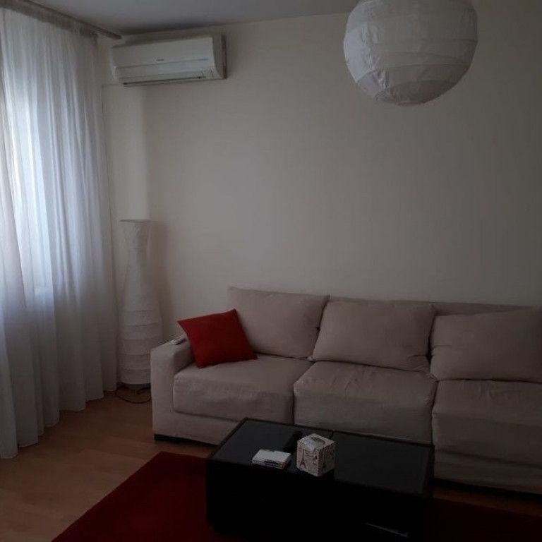 Apartament cu 1 camera ,in zona Torontal - Photo 1