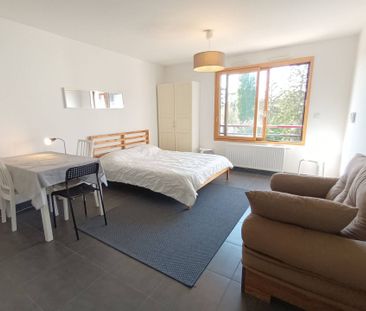 Appartement 1 pièce - 69160 Tassin-la-Demi-Lune - Photo 1