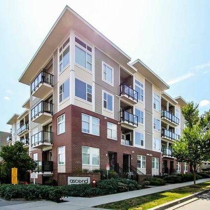 Beautiful North Facing Condo on the Top Floor - Photo 3