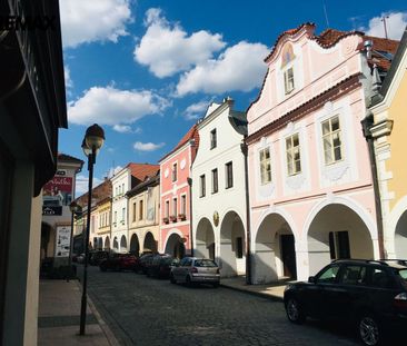 Pronájem bytu atypický v osobním vlastnictví 166 m², České Budějovice - Photo 6