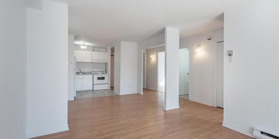 Le 10205 L711 - Photo 3