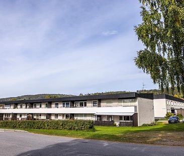 Björkallen 33 - Foto 1