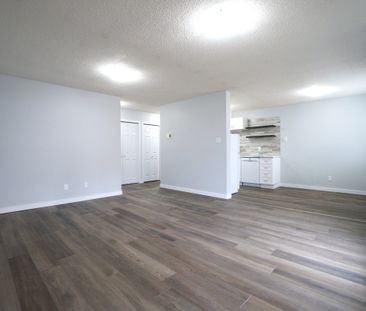 Modern and Spacious 2-Bedroom Apartment - SMALL PET FRIENDLY! - Photo 4