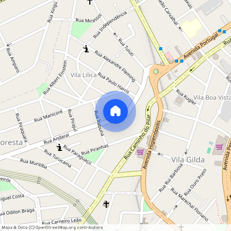 Rua Andaraí, 252 - Vila Floresta, Santo André - SP