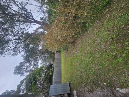 Close to the Beach - Photo 4