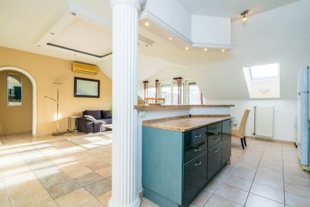 Oltvány árok - Fotó 4