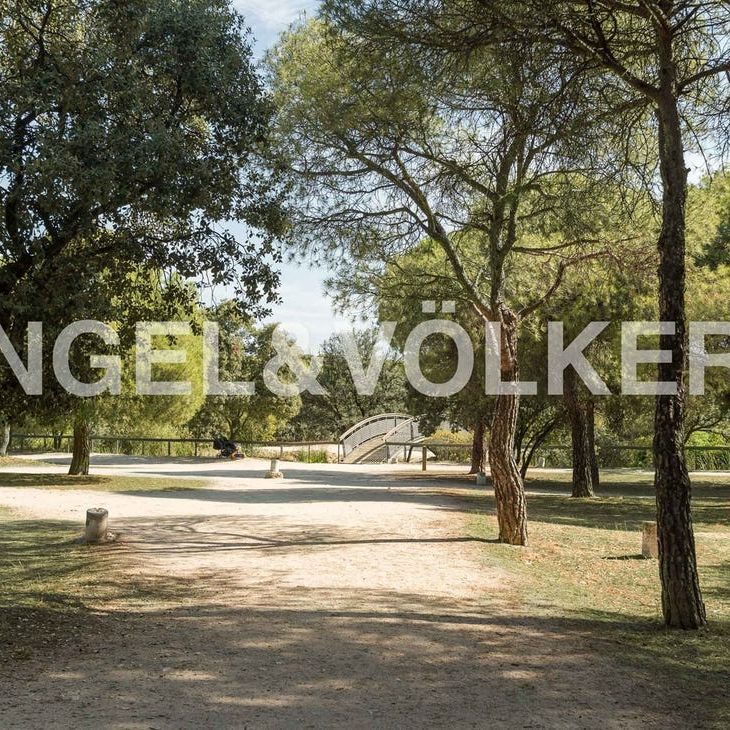 San Agustín del Guadalix, Community of Madrid 28750 - Photo 1