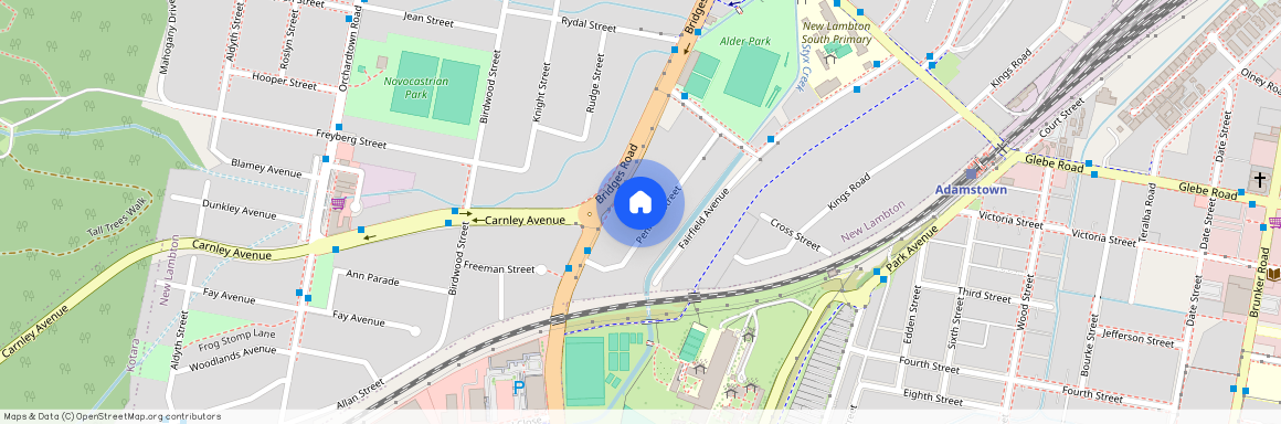 22 Penman Street, NSW 2305, New Lambton