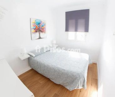 Apartamento en alquiler en La Rana Verde - Foto 3
