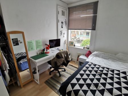 6 Bed Terraced House, White Street, BN2 - Photo 3