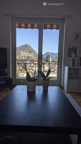 Cercasi Subentrante Appartamento 2.5 locali arredato - Foto 2
