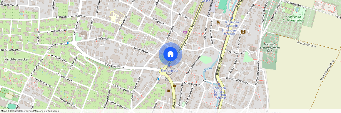 4102, Binningen, Hauptstrasse, 116