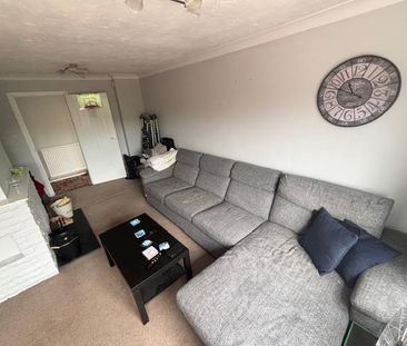 Meadow Drive - Photo 6