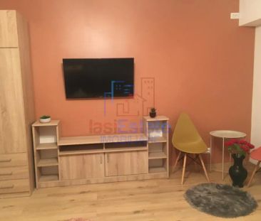 Apartamnet 1 Camera Nicolina - Prima Statie - Fotografie 6