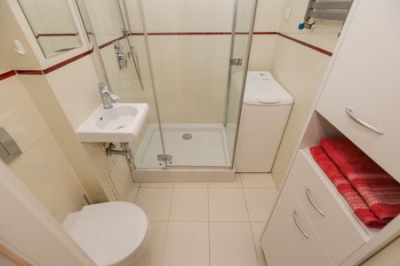 Dla miłośników spacerów po lesie - Photo 5