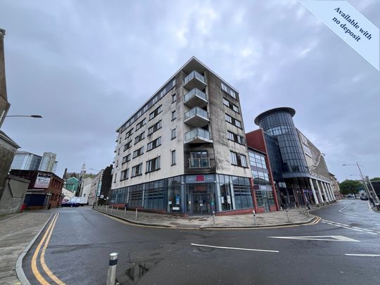 Salubrious Court, Salubrious Passage, Swansea, SA1 3RT - Photo 1