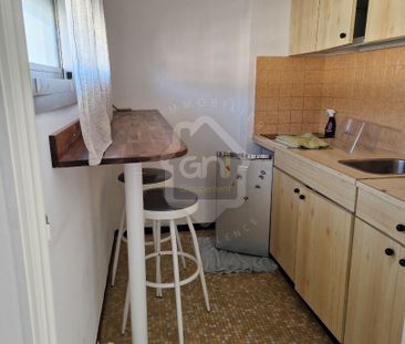 Location Appartement 1 pièce 31m² - Photo 4