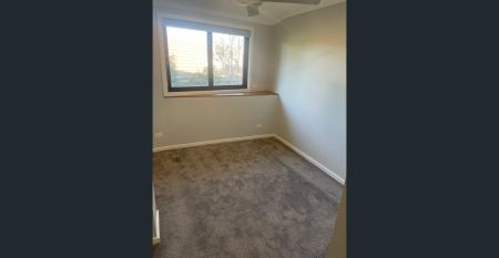 Relaxed modern coastal living $830pw - Photo 4