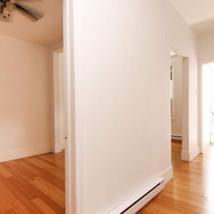 MAGNIFIQUE 4 1/2 RÉNOVÉ À VERDUN, EXCELLENT EMPLACEMENT, MÉTRO. - Photo 2