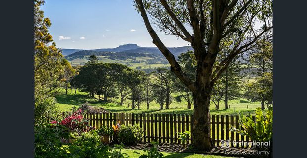 Peaceful Sanctuary - Photo 1