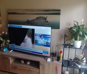 Surfers Paradise - Photo 4