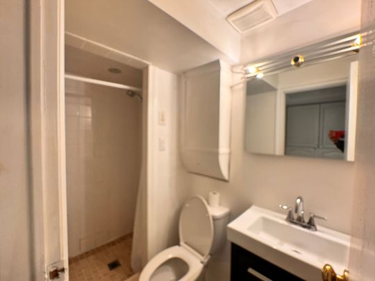 For Lease - 14 Blue Spruce Lane Unit# Basement, Markham, Ontario - Photo 1