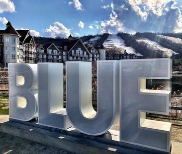 For Lease - 639 Johnston Park Avenue, Collingwood, Ontario - Photo 2