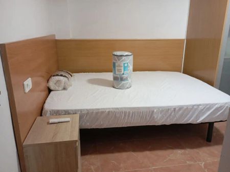 Elche / Elx - Photo 5