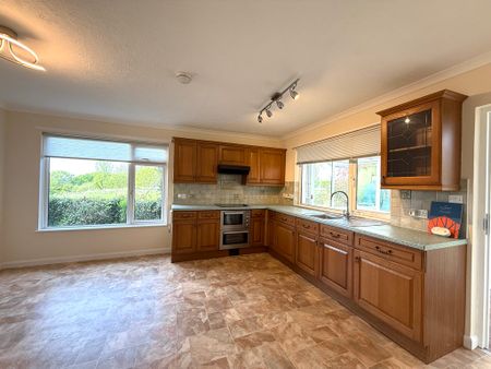 3 bed detached bungalow to rent, Crediton, EX17 - Photo 5